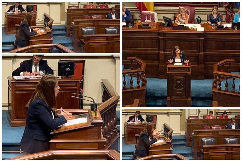 La teldense Carmen Hernández, durante una intervención en el Parlamento canario (Foto TA)